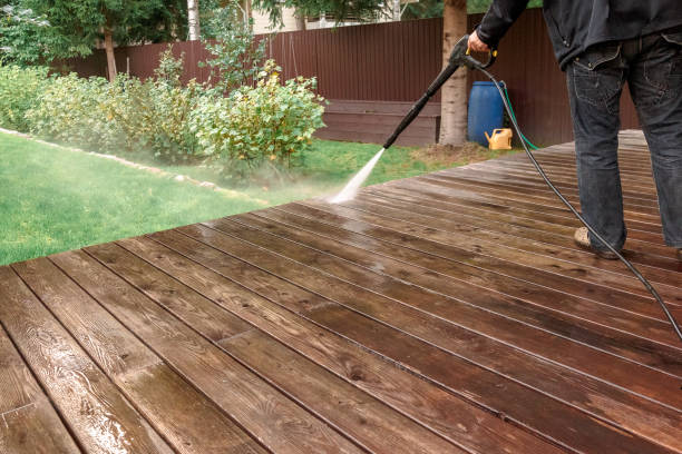 Best Rust Removal  in Carrollton, KY