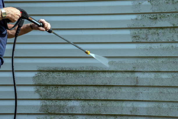 Professional Pressure Washing in Carrollton, KY